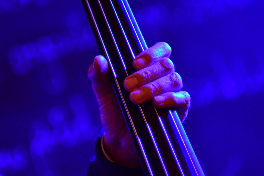 Double bass is the most essential element in jazz, maintaining the rythm and providing those deep tones in an improvisation